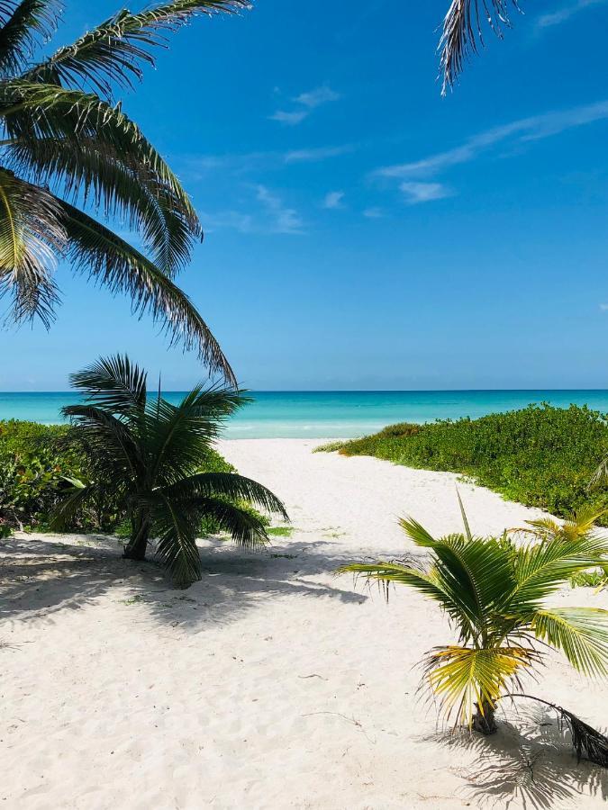Cabana Tortuga A Unos Pasos De La Playa Appartement El Cuyo Buitenkant foto