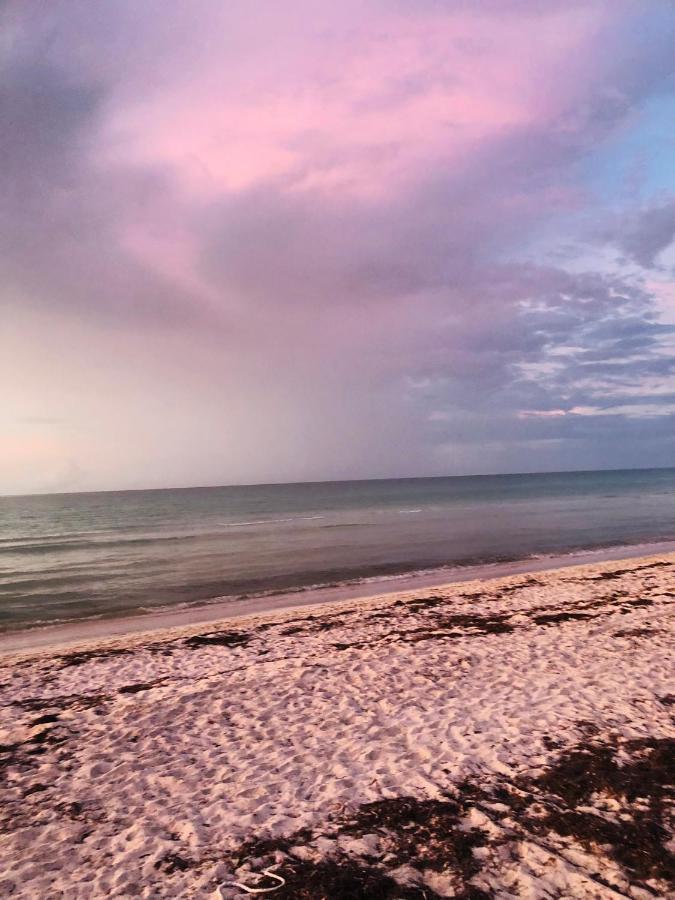 Cabana Tortuga A Unos Pasos De La Playa Appartement El Cuyo Buitenkant foto